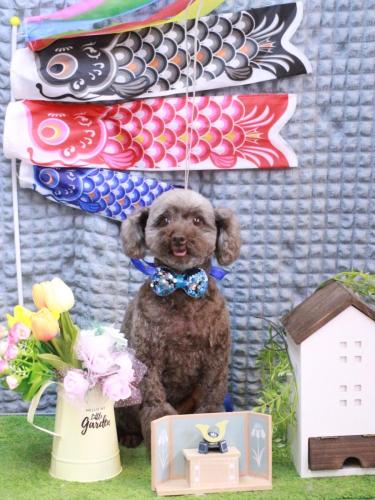 20230506モカくん